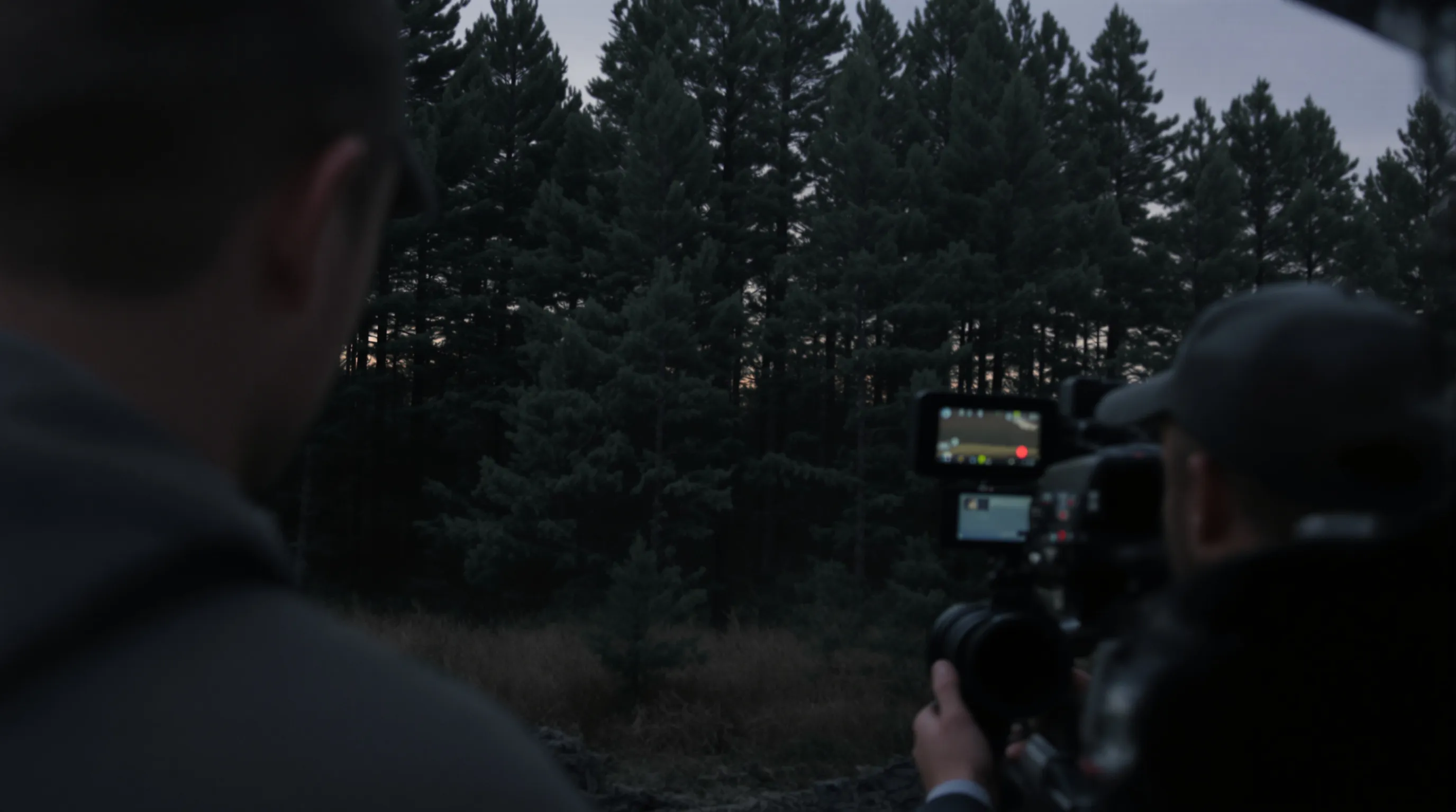 A camera operator films toward a dense stand of trees at dusk, the far treeline underexposed and empty.