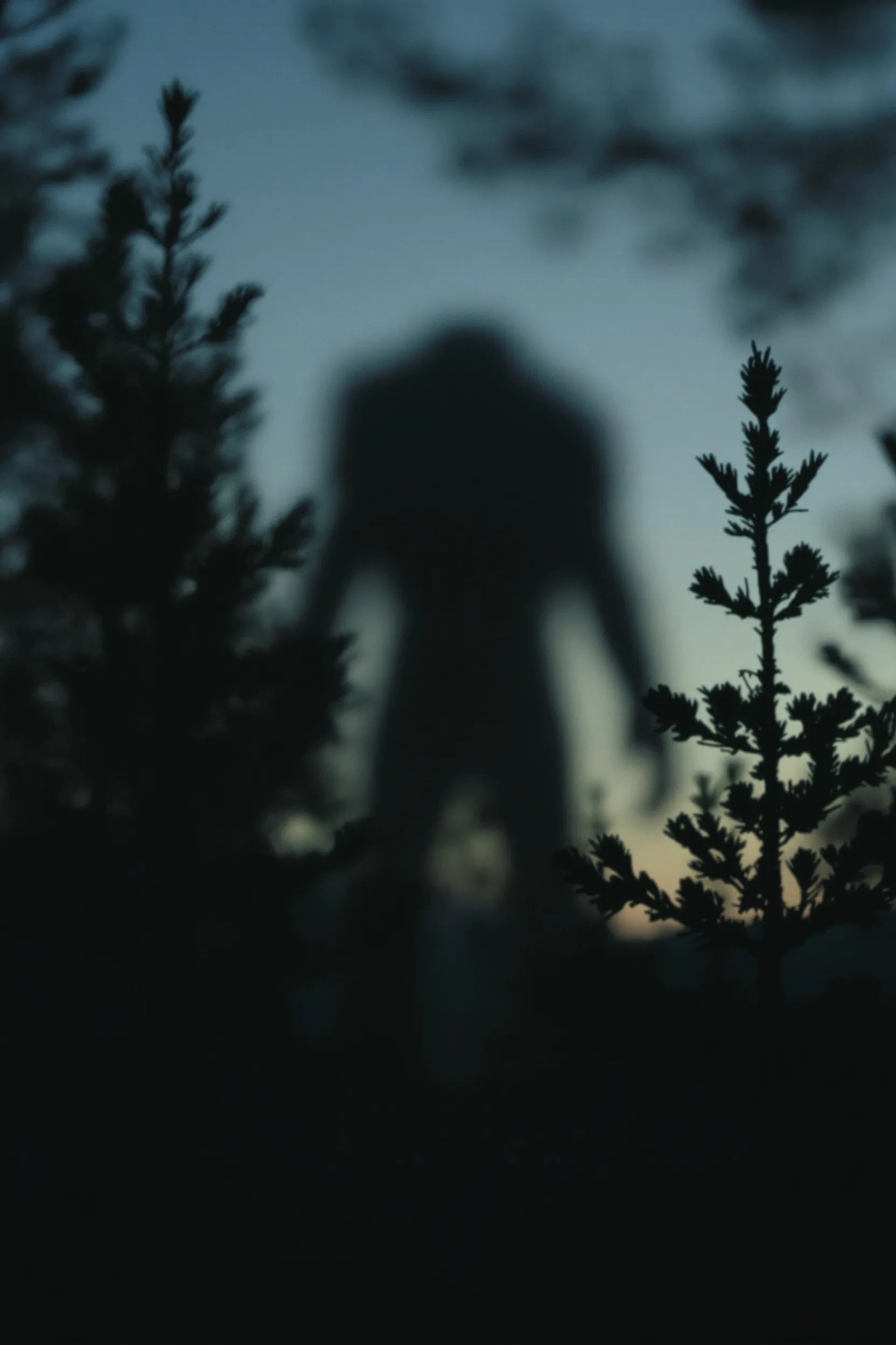 A film poster showing an out-of-focus dark shape among trees at dusk, the title set small in the lower third.