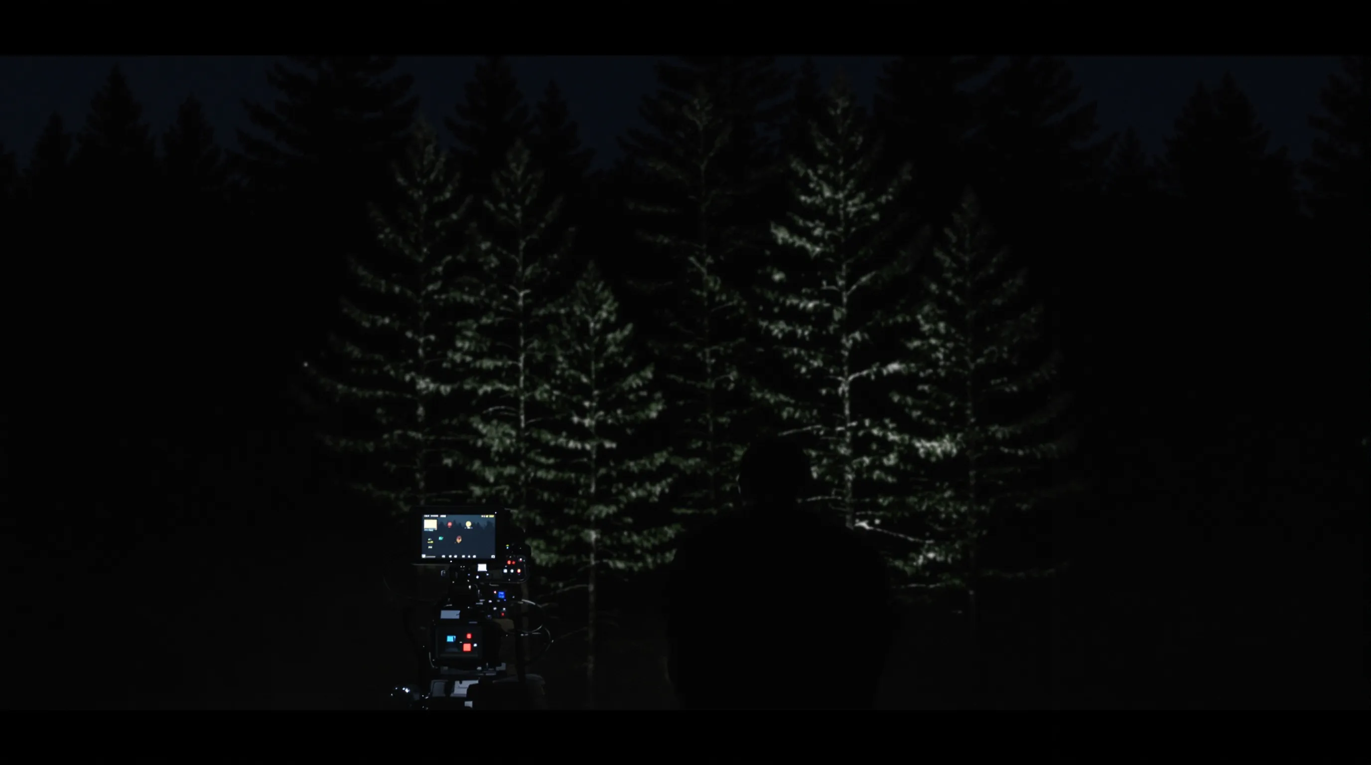 A camera operator films toward a dense stand of pines at dusk, the far treeline dark and empty.